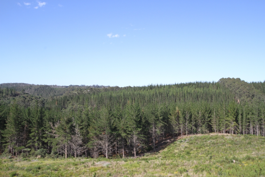 0 Bedroom Property for Sale in Plettenberg Bay Rural Western Cape